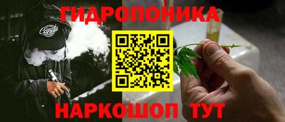 2c-b Кингисепп