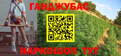 2c-b Кингисепп