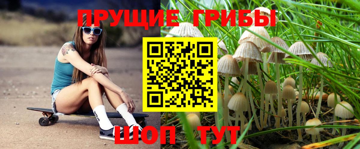 Псилоцибиновые грибы Psilocybine cubensis  Вход с VPN  Красноярск  Галлюциногенные грибы мицелий 